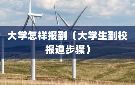 大学怎样报到（大学生到校报道步骤）