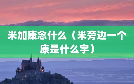 米加康念什么（米旁边一个康是什么字）