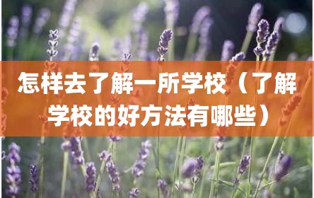 怎样去了解一所学校（了解学校的好方法有哪些）