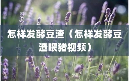 怎样发酵豆渣（怎样发酵豆渣喂猪视频）