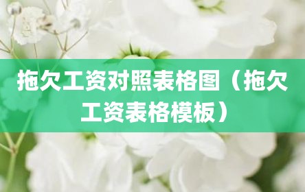 拖欠工资对照表格图（拖欠工资表格模板）