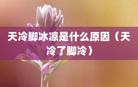 天冷脚冰凉是什么原因（天冷了脚冷）