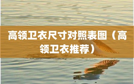 高领卫衣尺寸对照表图（高领卫衣推荐）