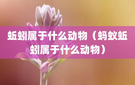 蚯蚓属于什么动物（蚂蚁蚯蚓属于什么动物）