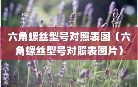 六角螺丝型号对照表图（六角螺丝型号对照表图片）