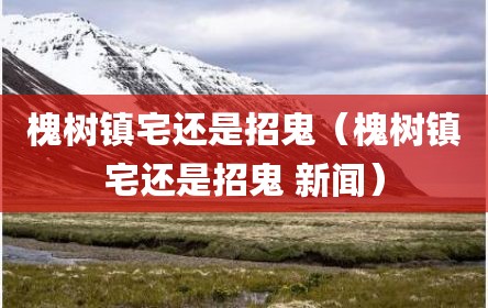 槐树镇宅还是招鬼（槐树镇宅还是招鬼 新闻）