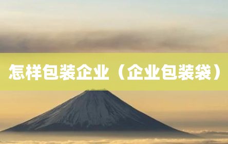 怎样包装企业（企业包装袋）