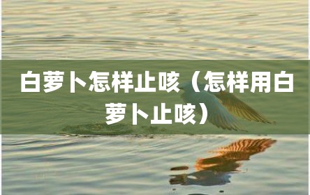 白萝卜怎样止咳（怎样用白萝卜止咳）