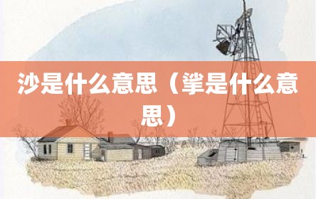 沙是什么意思（挲是什么意思）