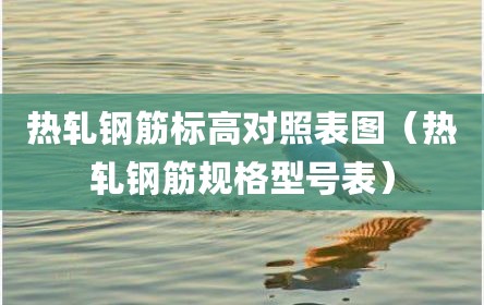热轧钢筋标高对照表图（热轧钢筋规格型号表）