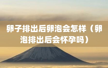 卵子排出后卵泡会怎样（卵泡排出后会怀孕吗）