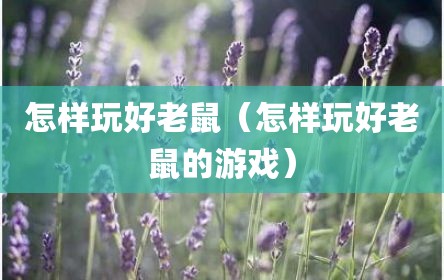 怎样玩好老鼠（怎样玩好老鼠的游戏）