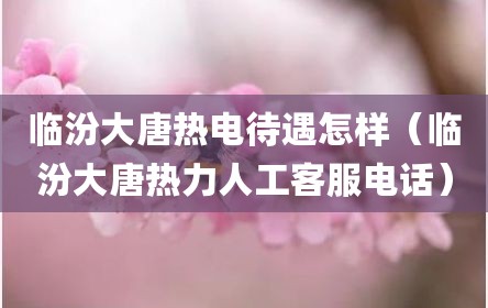 临汾大唐热电待遇怎样（临汾大唐热力人工客服电话）