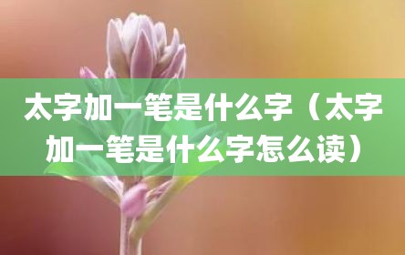 太字加一笔是什么字（太字加一笔是什么字怎么读）