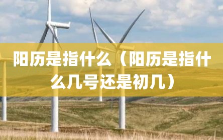 阳历是指什么（阳历是指什么几号还是初几）