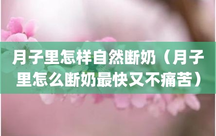 月子里怎样自然断奶（月子里怎么断奶最快又不痛苦）