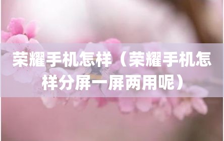荣耀手机怎样（荣耀手机怎样分屏一屏两用呢）