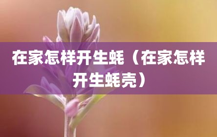 在家怎样开生蚝（在家怎样开生蚝壳）