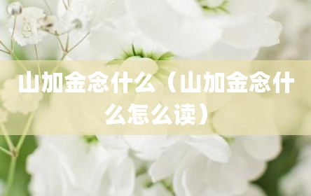 山加金念什么（山加金念什么怎么读）