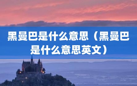 黑曼巴是什么意思（黑曼巴是什么意思英文）