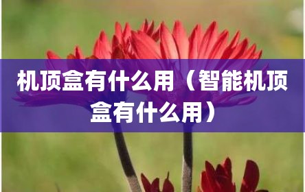 机顶盒有什么用（智能机顶盒有什么用）