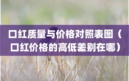 口红质量与价格对照表图（口红价格的高低差别在哪）