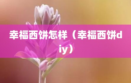 幸福西饼怎样（幸福西饼diy）