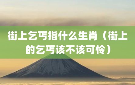 街上乞丐指什么生肖（街上的乞丐该不该可怜）