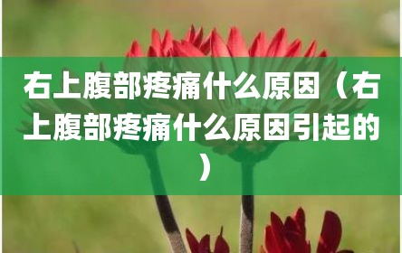 右上腹部疼痛什么原因（右上腹部疼痛什么原因引起的）