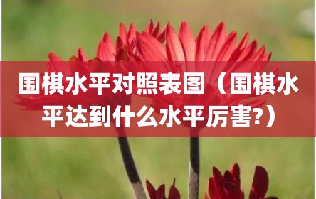围棋水平对照表图（围棋水平达到什么水平厉害?）