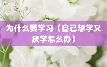 为什么要学习（自己想学又厌学怎么办）