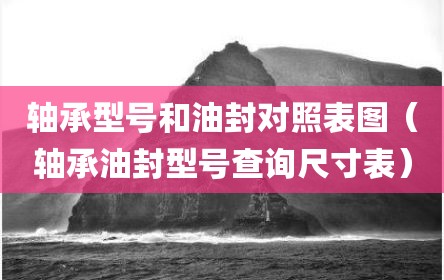 轴承型号和油封对照表图（轴承油封型号查询尺寸表）