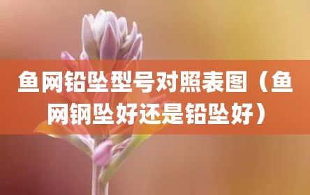 鱼网铅坠型号对照表图（鱼网钢坠好还是铅坠好）