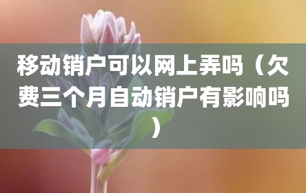 移动销户可以网上弄吗（欠费三个月自动销户有影响吗）