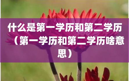 什么是第一学历和第二学历（第一学历和第二学历啥意思）