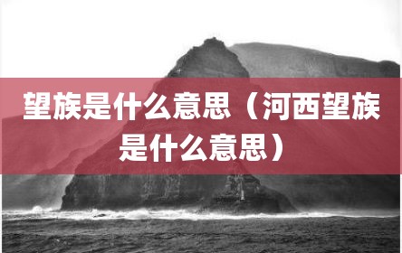 望族是什么意思（河西望族是什么意思）