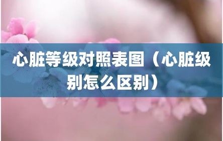心脏等级对照表图（心脏级别怎么区别）