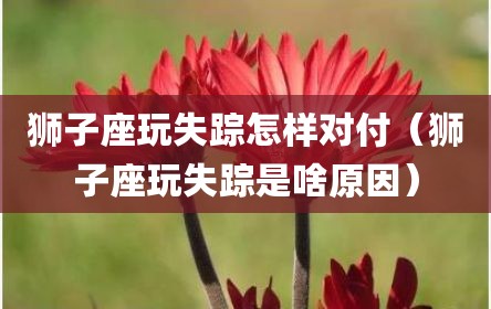 狮子座玩失踪怎样对付（狮子座玩失踪是啥原因）