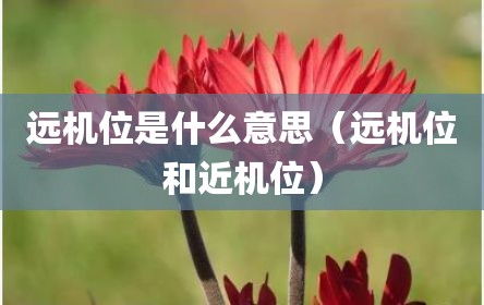 远机位是什么意思（远机位和近机位）