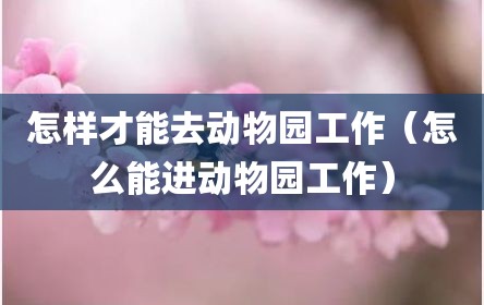 怎样才能去动物园工作（怎么能进动物园工作）