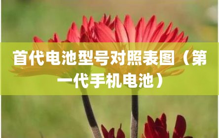 首代电池型号对照表图（第一代手机电池）