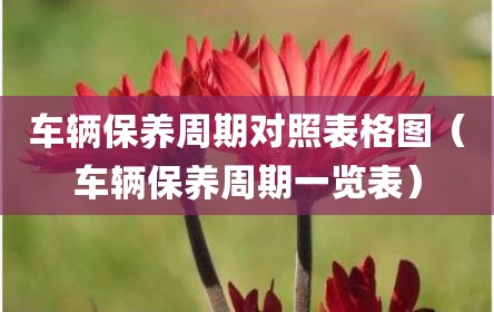 车辆保养周期对照表格图（车辆保养周期一览表）