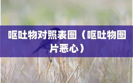 呕吐物对照表图（呕吐物图片恶心）