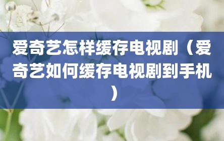 爱奇艺怎样缓存电视剧（爱奇艺如何缓存电视剧到手机）