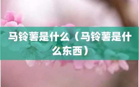 马铃薯是什么（马铃薯是什么东西）