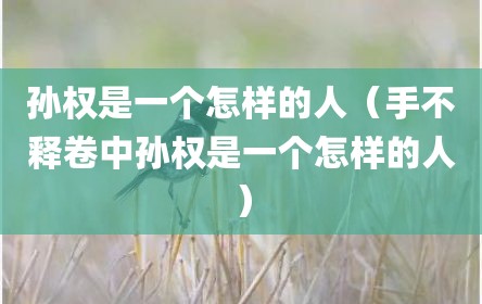 孙权是一个怎样的人（手不释卷中孙权是一个怎样的人）