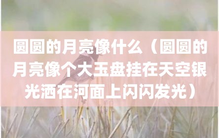 圆圆的月亮像什么（圆圆的月亮像个大玉盘挂在天空银光洒在河面上闪闪发光）