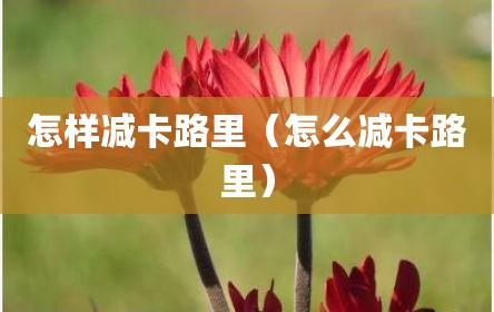怎样减卡路里（怎么减卡路里）