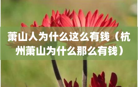 萧山人为什么这么有钱（杭州萧山为什么那么有钱）