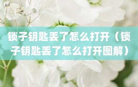 锁子钥匙丢了怎么打开（锁子钥匙丢了怎么打开图解）